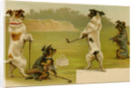 Postcard of Dogs Golfing by Anonymous