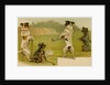 Postcard of Dogs Golfing by Anonymous