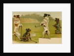 Postcard of Dogs Golfing by Anonymous