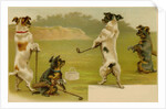 Postcard of Dogs Golfing by Anonymous
