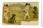 Postcard of Dogs Golfing by Anonymous