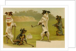 Postcard of Dogs Golfing by Anonymous