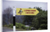 Leprechaun Crossing Sign by Anonymous