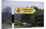 Leprechaun Crossing Sign by Anonymous