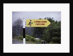 Leprechaun Crossing Sign by Anonymous