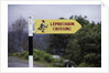 Leprechaun Crossing Sign by Anonymous