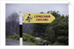 Leprechaun Crossing Sign by Anonymous