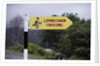 Leprechaun Crossing Sign by Anonymous