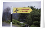 Leprechaun Crossing Sign by Anonymous