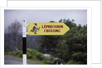 Leprechaun Crossing Sign by Anonymous