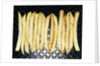 French Fries by Anonymous