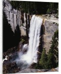 View from the Top of Vernal Falls by Anonymous