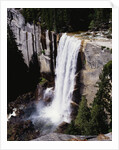 View from the Top of Vernal Falls by Anonymous