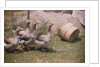 Flock of Geese on a Farm by Anonymous