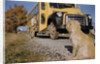 Faithful Dog Watching Boy Enter School Bus by Anonymous