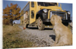 Faithful Dog Watching Boy Enter School Bus by Anonymous