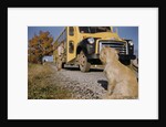 Faithful Dog Watching Boy Enter School Bus by Anonymous