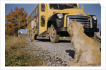 Faithful Dog Watching Boy Enter School Bus by Anonymous