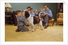 Boy Playing with the Family Dog by Anonymous