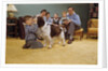 Boy Playing with the Family Dog by Anonymous
