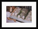 Girl Looking at Seafood Display by Anonymous