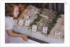 Girl Looking at Seafood Display by Anonymous
