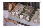 Girl Looking at Seafood Display by Anonymous