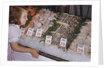 Girl Looking at Seafood Display by Anonymous