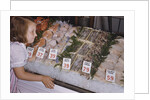 Girl Looking at Seafood Display by Anonymous