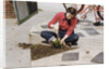 Woman Gardening by Anonymous