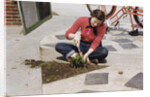 Woman Gardening by Anonymous