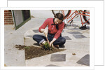 Woman Gardening by Anonymous