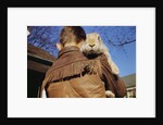 Boy Carrying Rabbit by Anonymous
