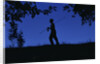 Silhouette of Boy Walking by Anonymous