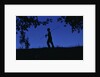 Silhouette of Boy Walking by Anonymous