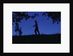 Silhouette of Boy Walking by Anonymous