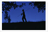 Silhouette of Boy Walking by Anonymous