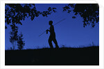 Silhouette of Boy Walking by Anonymous