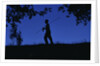 Silhouette of Boy Walking by Anonymous