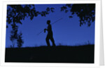 Silhouette of Boy Walking by Anonymous