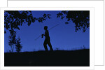 Silhouette of Boy Walking by Anonymous