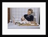 Woman Decorating Cup Cakes by Anonymous