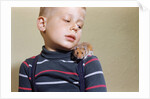 Hamster on Boy's Shoulder by Anonymous