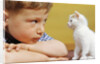 Boy Looking at White Kitten by Anonymous