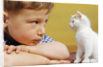 Boy Looking at White Kitten by Anonymous