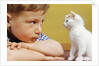 Boy Looking at White Kitten by Anonymous