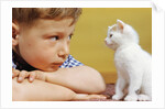 Boy Looking at White Kitten by Anonymous