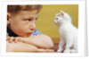 Boy Looking at White Kitten by Anonymous