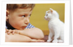Boy Looking at White Kitten by Anonymous