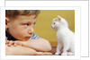 Boy Looking at White Kitten by Anonymous